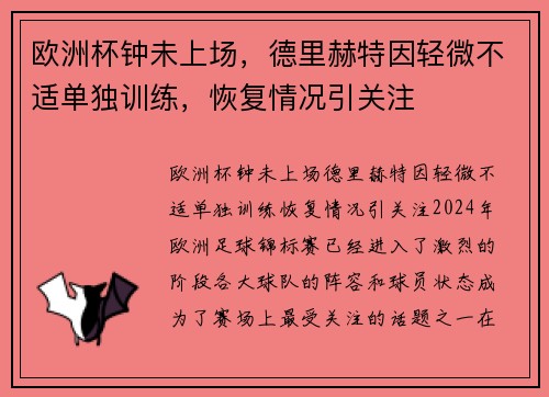欧洲杯钟未上场，德里赫特因轻微不适单独训练，恢复情况引关注